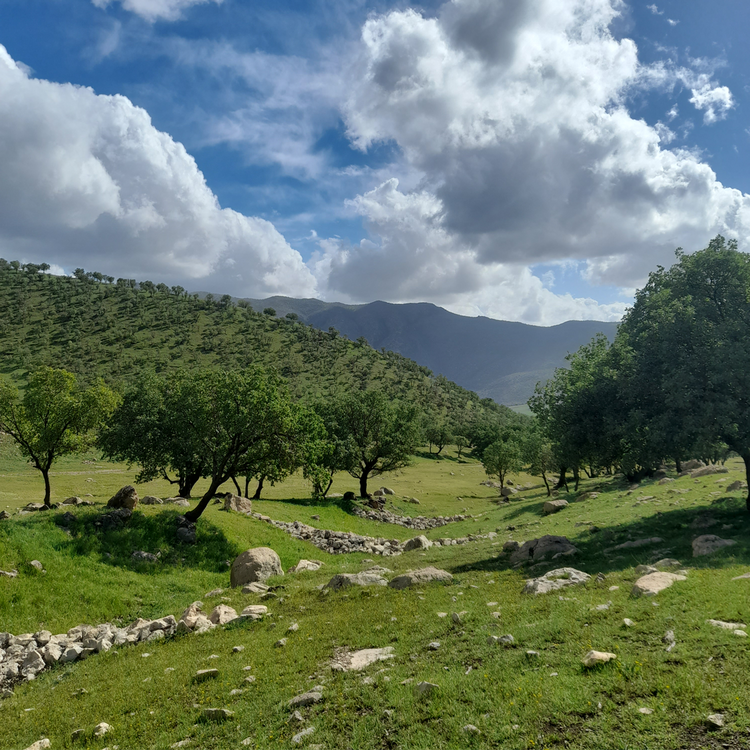 کوردی خوارێن